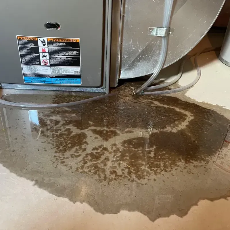 Appliance Leak Cleanup in Wilton Manors, FL